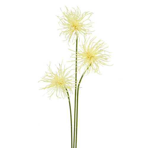 Kwiaty jedwabne Xanthium kremowe 63cm 4szt.