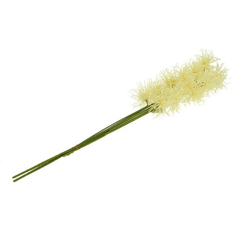 Floristik24 Kwiaty jedwabne Xanthium kremowe 63cm 4szt.