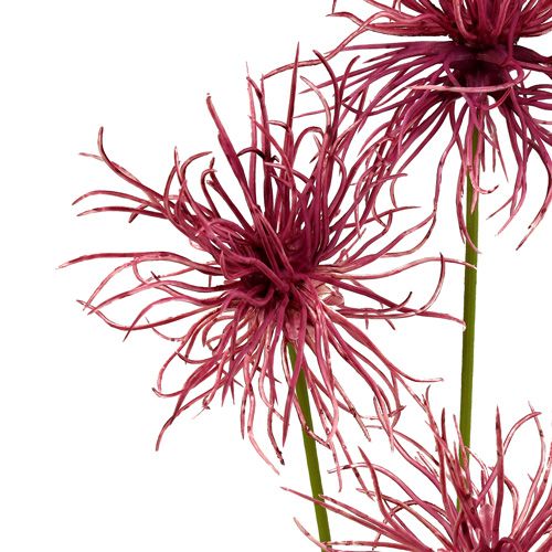 Floristik24 Kwiaty jedwabne Xanthium erika 63cm 4szt.