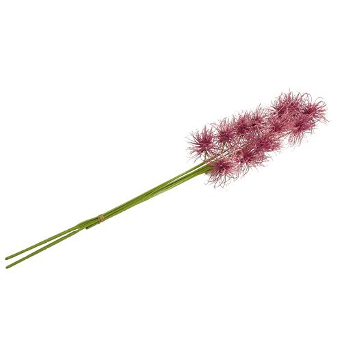 Floristik24 Kwiaty jedwabne Xanthium erika 63cm 4szt.