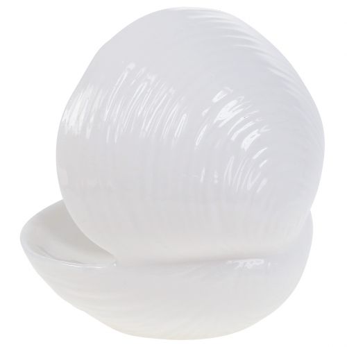 Floristik24 Mydelniczka Muszelka 12cm x 10,5cm x 11cm Biała