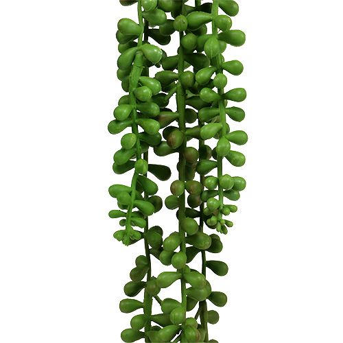 Floristik24 Senecio Wieszak 75cm Zielony