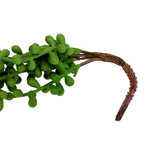 Floristik24 Senecio Wieszak 75cm Zielony
