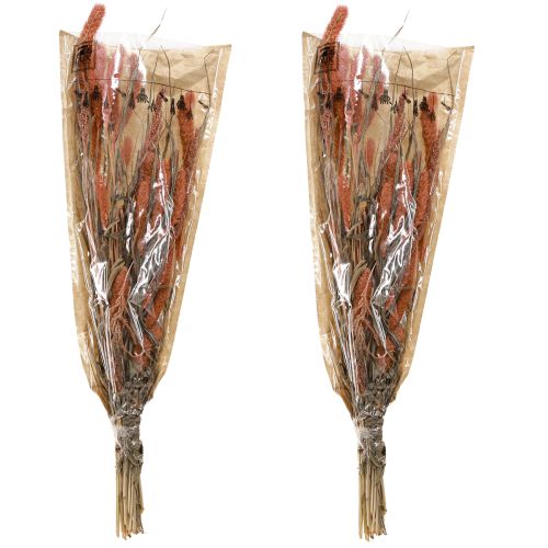 Produkt Setaria włosia jaglana sucha dekoracja łosoś 69cm 70-75g x 2szt