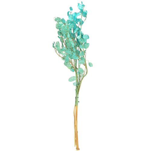 Produkt Suszony liść srebrny Lunaria jasnoniebieski 65-70cm 20g