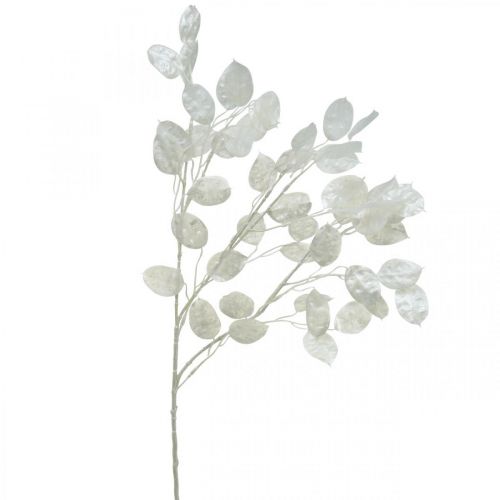 Floristik24 Deco Branch Silver Leaf White Lunaria Branch Artificial Branch 70cm