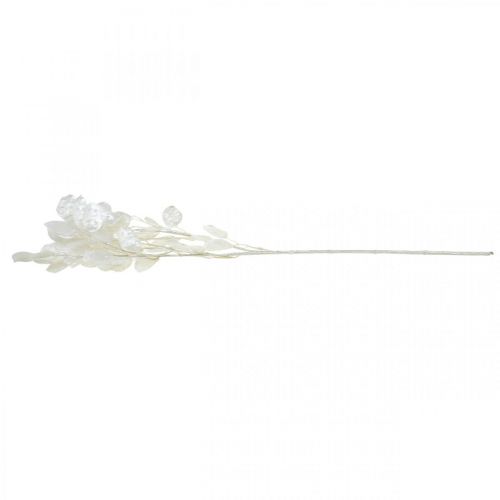 Floristik24 Deco Branch Silver Leaf White Lunaria Branch Artificial Branch 70cm