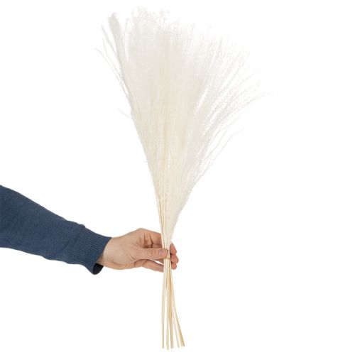 Produkt Suszone kwiaty, srebrzysta trawa. Elegancka, naturalna dekoracja do domu i biura. 70 cm, 10 sztuk.