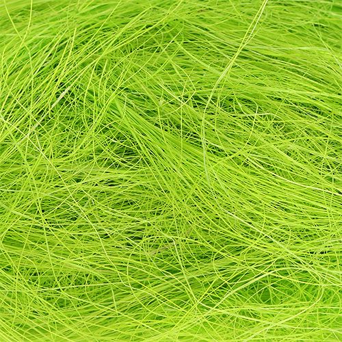 Floristik24 Sizal jabłko zielone 50g