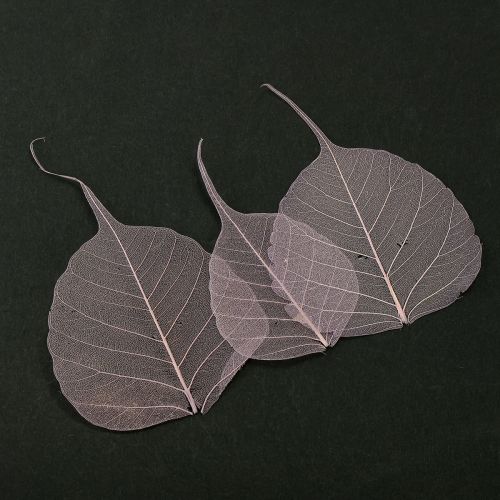 Produkt Liście szkieletowe Bodhi liście szkieletowe fioletowe 5-15cm 200 szt.