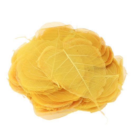 Produkt Liście szkieletowe, liście figowe topoli, żółte, 5-15 cm, 200 sztuk