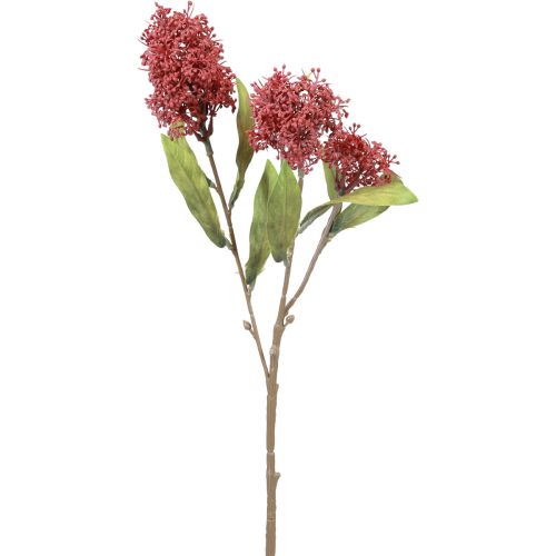 Floristik24 Skimmie Skimmia Japonica Sztuczne kwiaty Burgundowy DryLook L59cm