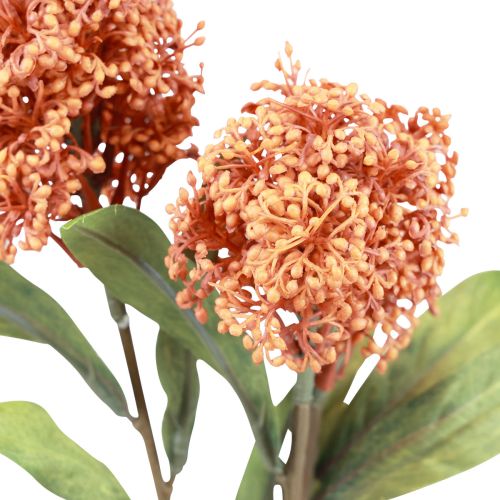 Produkt Skimmie Skimmia Japonica Sztuczne kwiaty Pomarańczowy DryLook L59cm