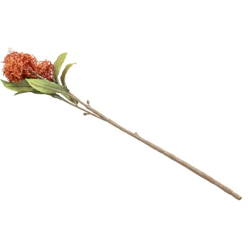 Produkt Skimmie Skimmia Japonica Sztuczne kwiaty Pomarańczowy DryLook L59cm