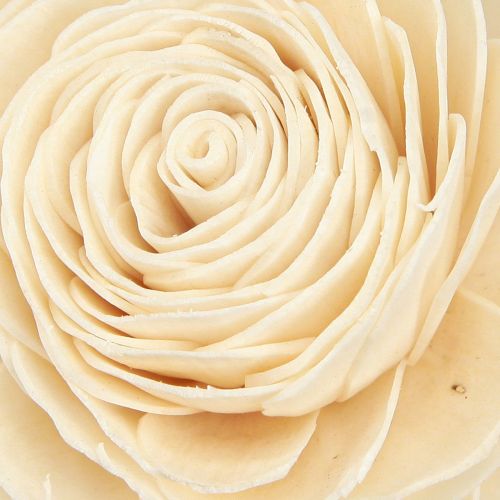 Produkt Sola Kwiaty Drewniane Drewniane Kwiaty Dekoracyjne Mix Kremowe 6-11cm 12-15 szt