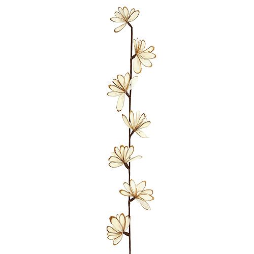 Floristik24 Sola Chips Sunny Stick Brązowy, Biały 6 szt.