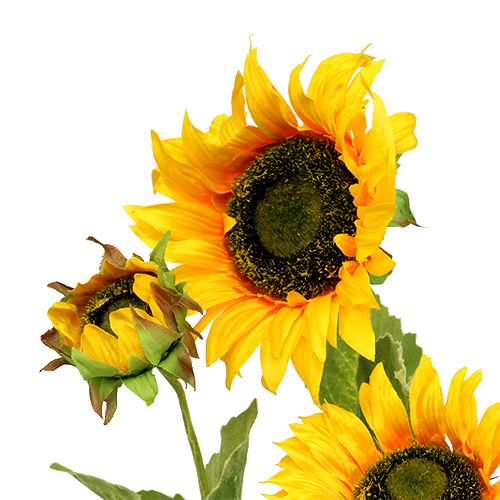 Floristik24 Słonecznik żółty 85cm