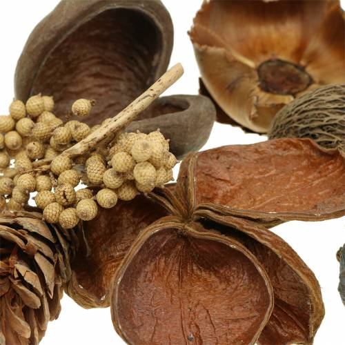 Floristik24 Asortyment egzotyczny z szyszkami stroboskopowymi natura 300g