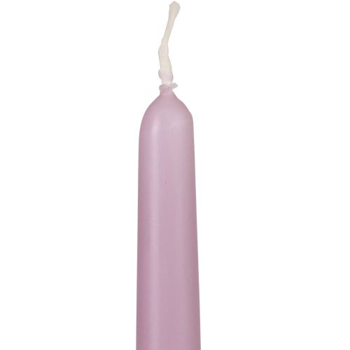 Floristik24 Świece stożkowe Świece Wenzel liliowe 250/23mm 12 szt