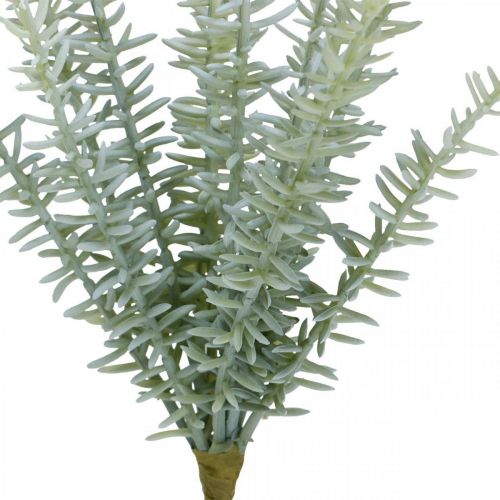 Floristik24 Sprengerie Szparagi Ozdobne Sztuczne Rośliny Zielone 23 cm 4szt