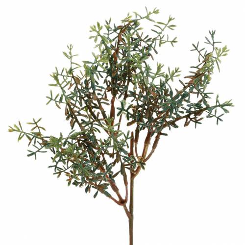 Floristik24 Zbiór tymianku sztuczna zieleń 26 cm 6 sztuk