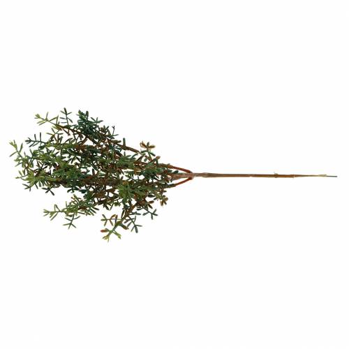 Floristik24 Zbiór tymianku sztuczna zieleń 26 cm 6 sztuk