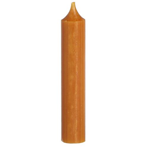 Floristik24 Świece stożkowe krótka świeca woskowa w karmelu 21x110mm 6 szt