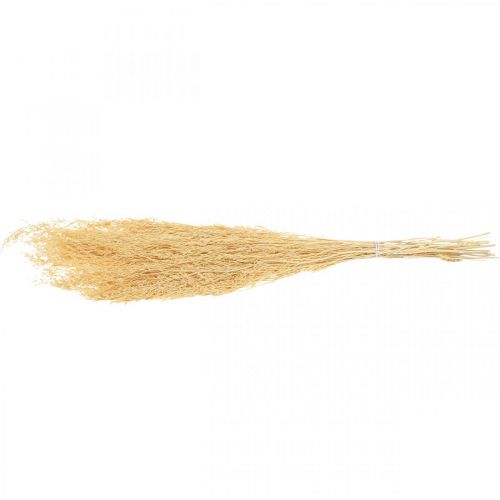 Floristik24 Suszona Morska Lawenda Krem Statice Dry Deco 100g