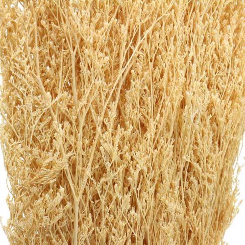 Floristik24 Suszona Morska Lawenda Krem Statice Dry Deco 100g