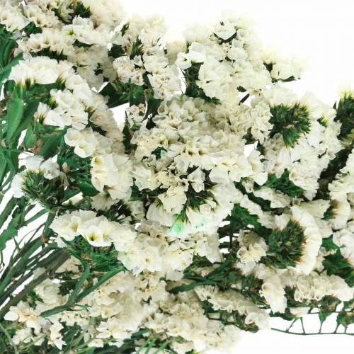 Floristik24 Dried Flower Bundle Beach Lilac White 40-55cm 120g