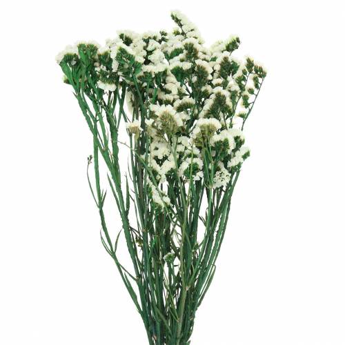 Floristik24 Dried Flower Bundle Beach Lilac White 40-55cm 120g