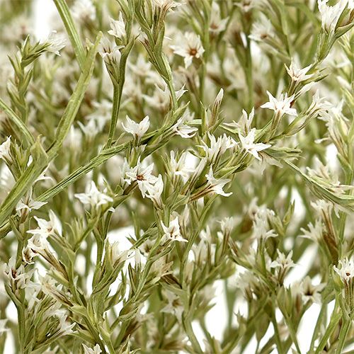 Produkt Lawenda morska Statice Tatarica suszone kwiaty naturalne 2kg