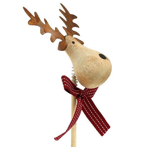 Floristik24 Korek łoś natura, biały 7cm L30cm 8szt