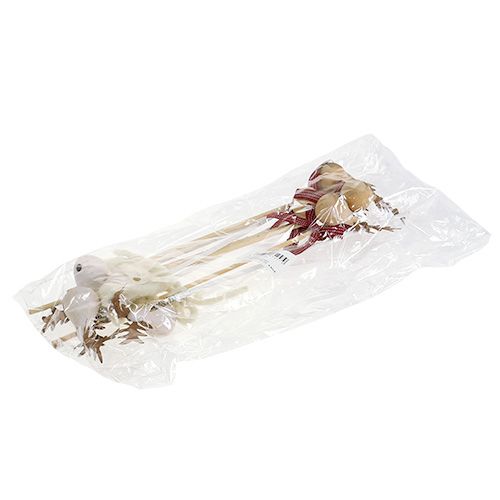 Floristik24 Korek łoś natura, biały 7cm L30cm 8szt