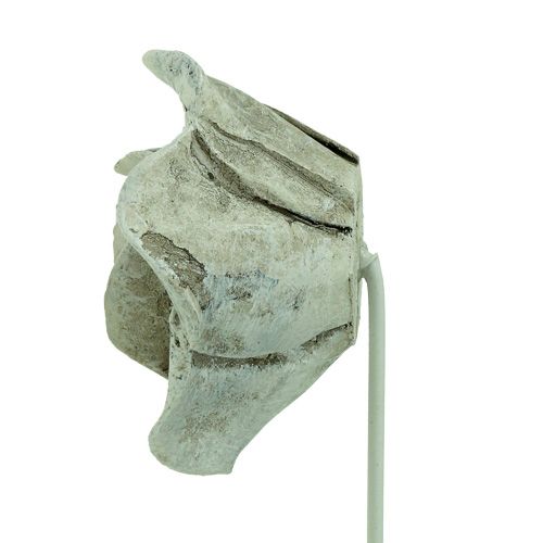 Floristik24 Różne róże wtyczkowe. Ø5,5cm dł.19cm 4 sztuki