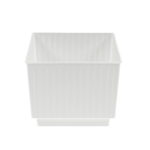 Floristik24 Kostki do pianki florystycznej 6,5cm białe 20 szt
