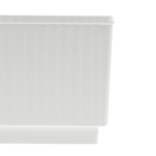 Floristik24 Kostki do pianki florystycznej 6,5cm białe 20 szt
