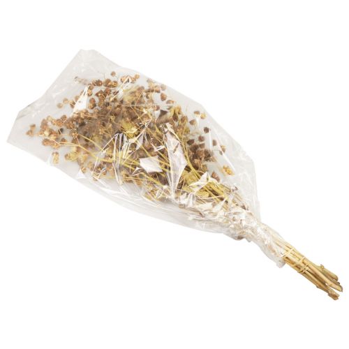 Produkt Suszone kwiaty ozdobne gałązki ozdobne gałązka Stefani 95cm 200g