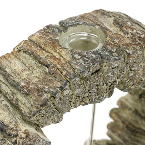 Floristik24 Wazon betonowy z pierścieniem probówki Ø16cm