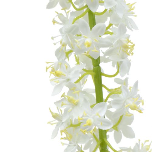 Produkt Desert Tail White 106cm