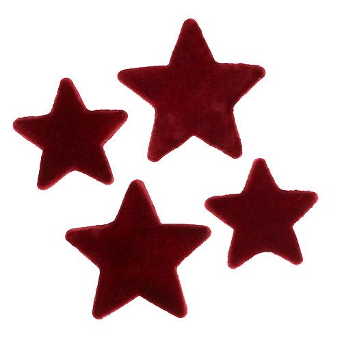 Floristik24 Dekoracja świąteczna gwiazdki bordowa flokowana dekoracja stołu 4–5cm 40 szt