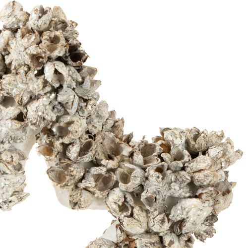 Produkt Gwiazda do zawieszenia dekoracja świąteczna biała, brokatowa Ø15cm