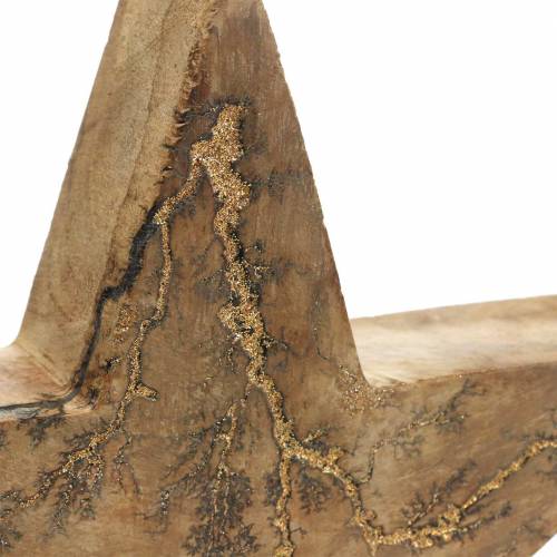 Floristik24 Poinsecja stojąca mango natura, złota 20 × 20 × 3,5 cm