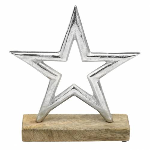 Floristik24 Gwiazda do stojaka mango, metal srebrny 21×16,5cm