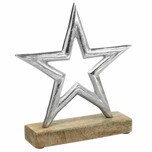 Floristik24 Gwiazda do stojaka mango, metal srebrny 21×16,5cm