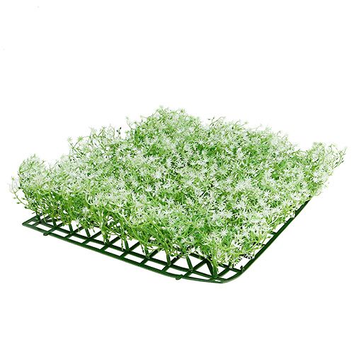 Floristik24 Podkładka pod kwiaty gwiazdki 25x25cm kremowa