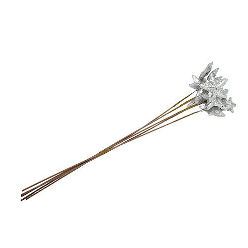 Floristik24 Gwiazdy na patyku srebrne 60cm 5szt.