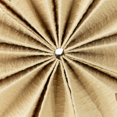 Produkt Gwiazdki papierowe, kolory naturalne, Ø10cm, 6 szt.