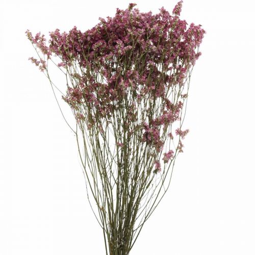 Floristik24 Statice, Morska Lawenda, Suszony Kwiat, Wildflower Bukiet Różowy L52cm 23g
