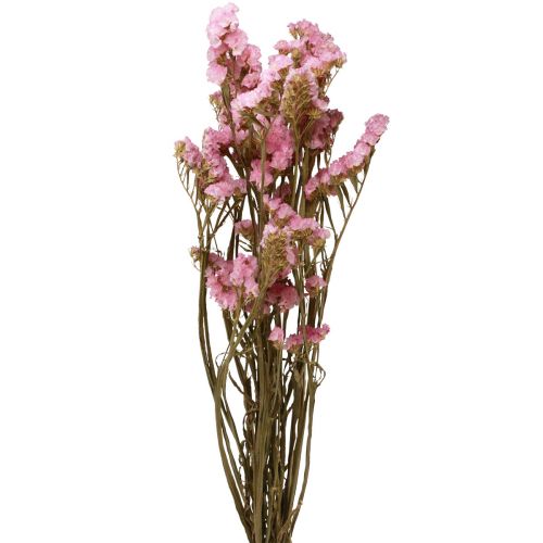 Floristik24 Kwiaty suszone liliowo-różowe limonowe plażowe 60cm 50g